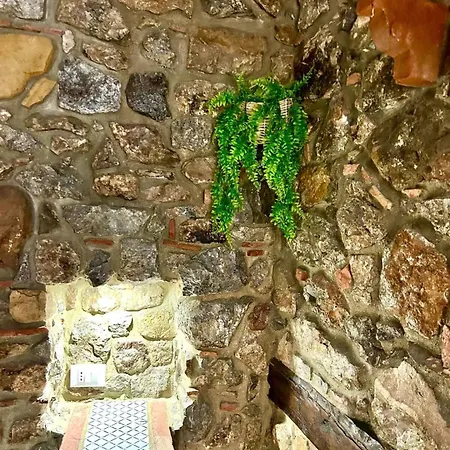 شقة Stonehouse تْشيفالو